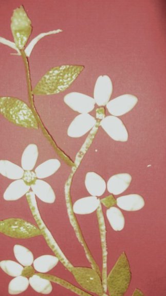 222416_106001482822218_8261699_n