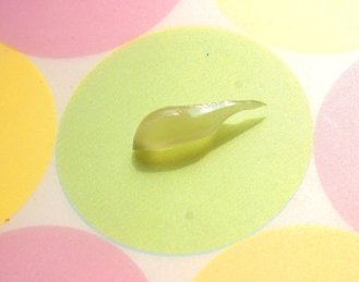 225470_105976682824698_1009707_n