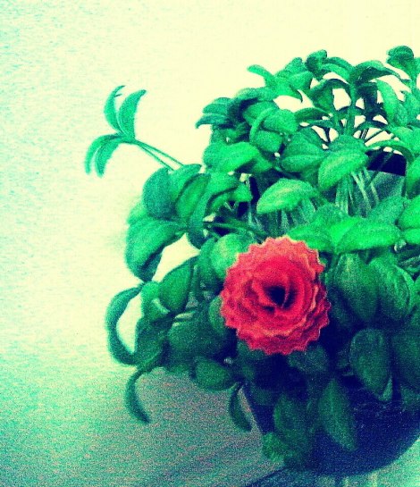 16073_377222752366755_260059762_n