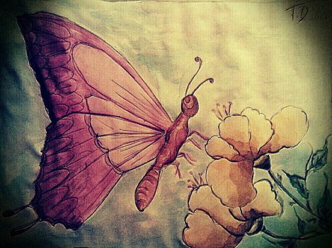 467456_377498482339182_1872716556_o