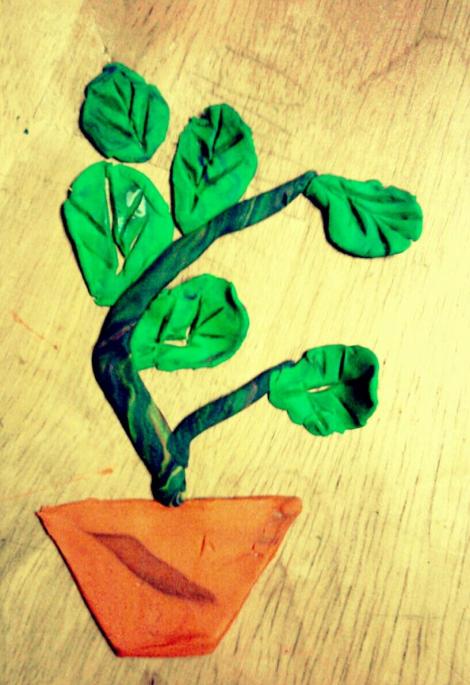 704411_377266082362422_1988715566_o