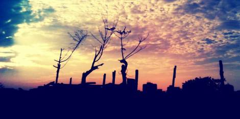 976445_458250220930674_1503712736_o