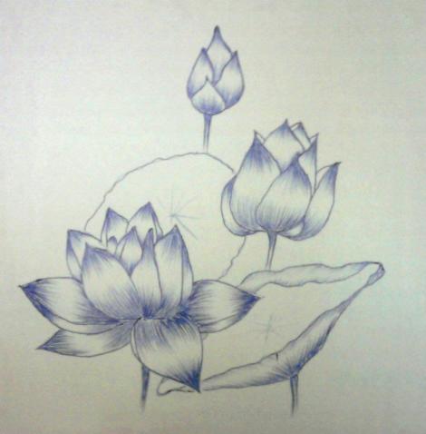 217597_336758403079857_1110750856_n