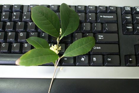 227830_105609826194717_7938284_n