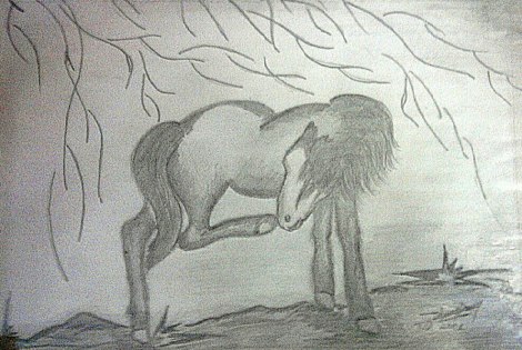 478199_377556262333404_702168461_o