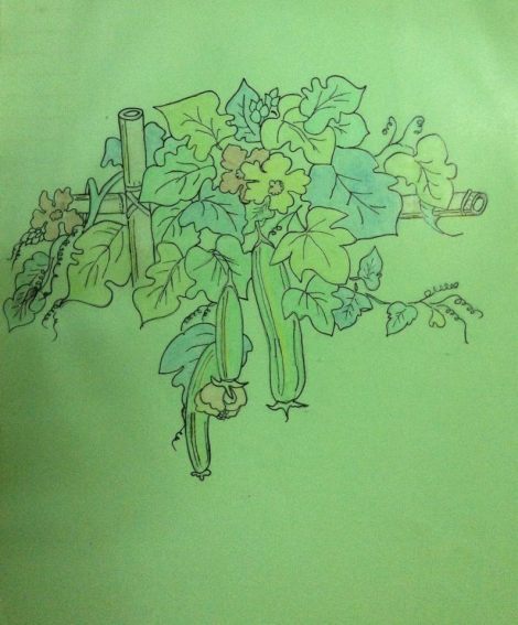 562723_336470769775287_1759711067_n