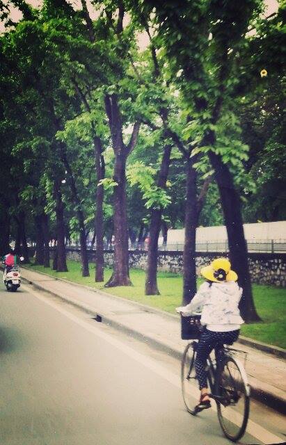 10335952_617386098350418_14600945_n