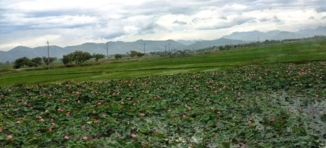 20140611_090815-ERASER